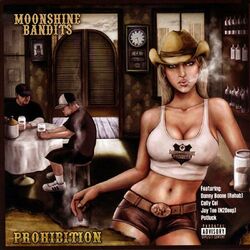 Cover of Prohibition