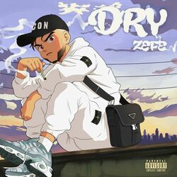 Cover of Dry