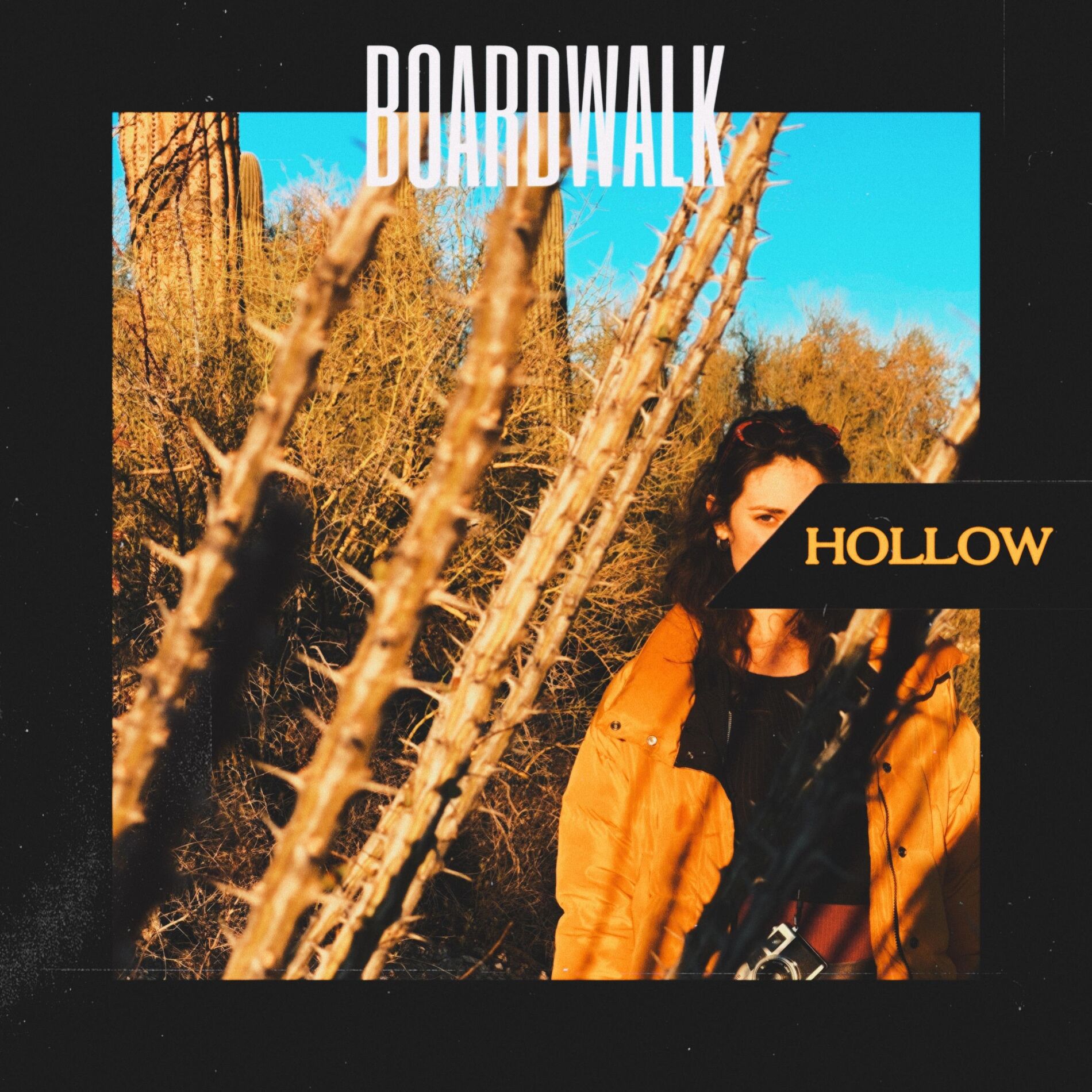 Album cover of Hollow