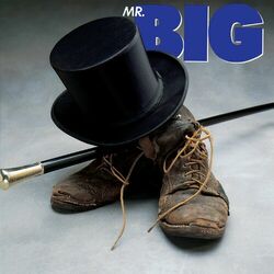 Cover of Mr. Big [Expanded]