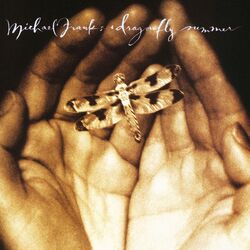Cover of Dragonfly Summer
