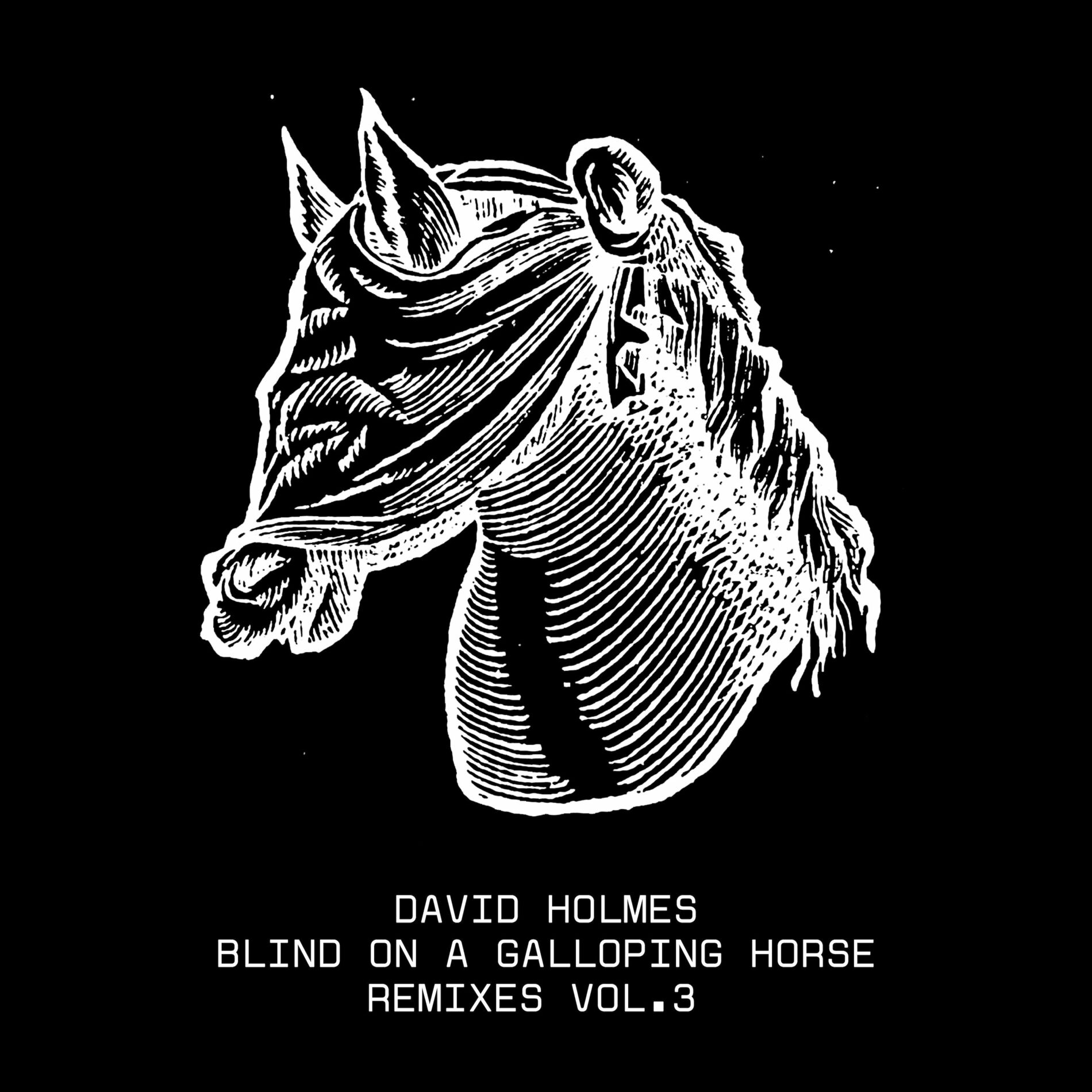 Album cover of Blind On A Galloping Horse Remixes, Vol. 3