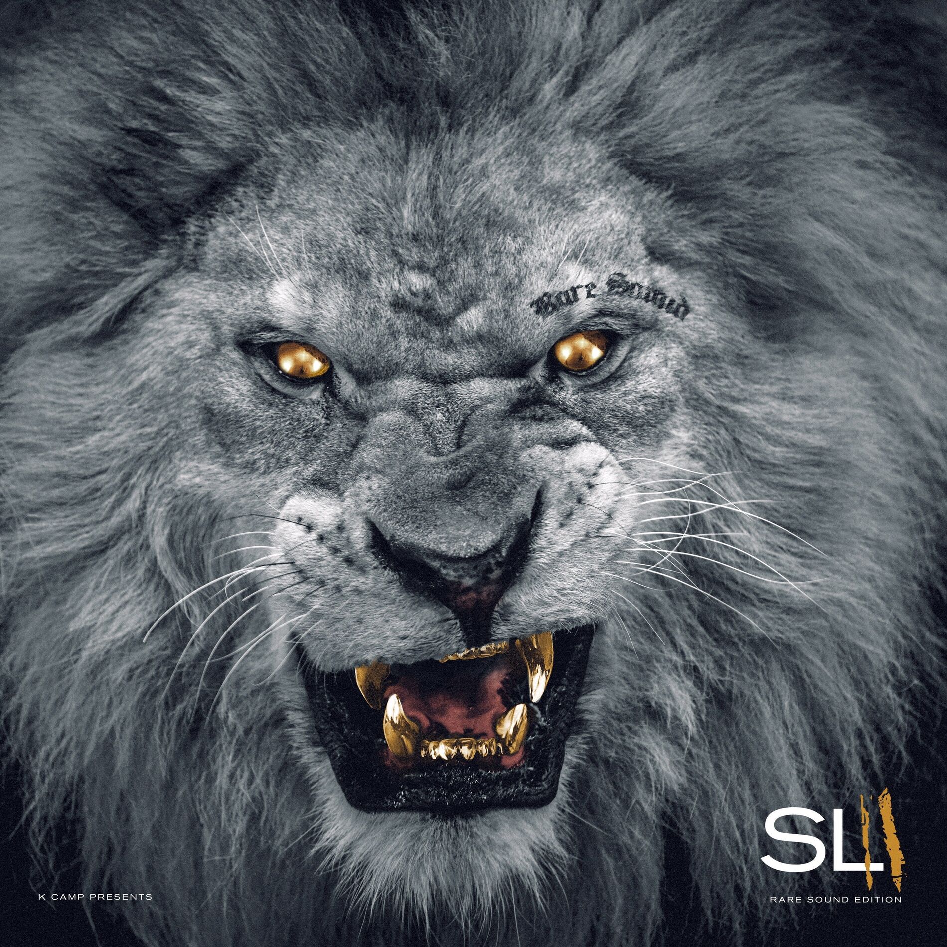 Album cover of FWYB