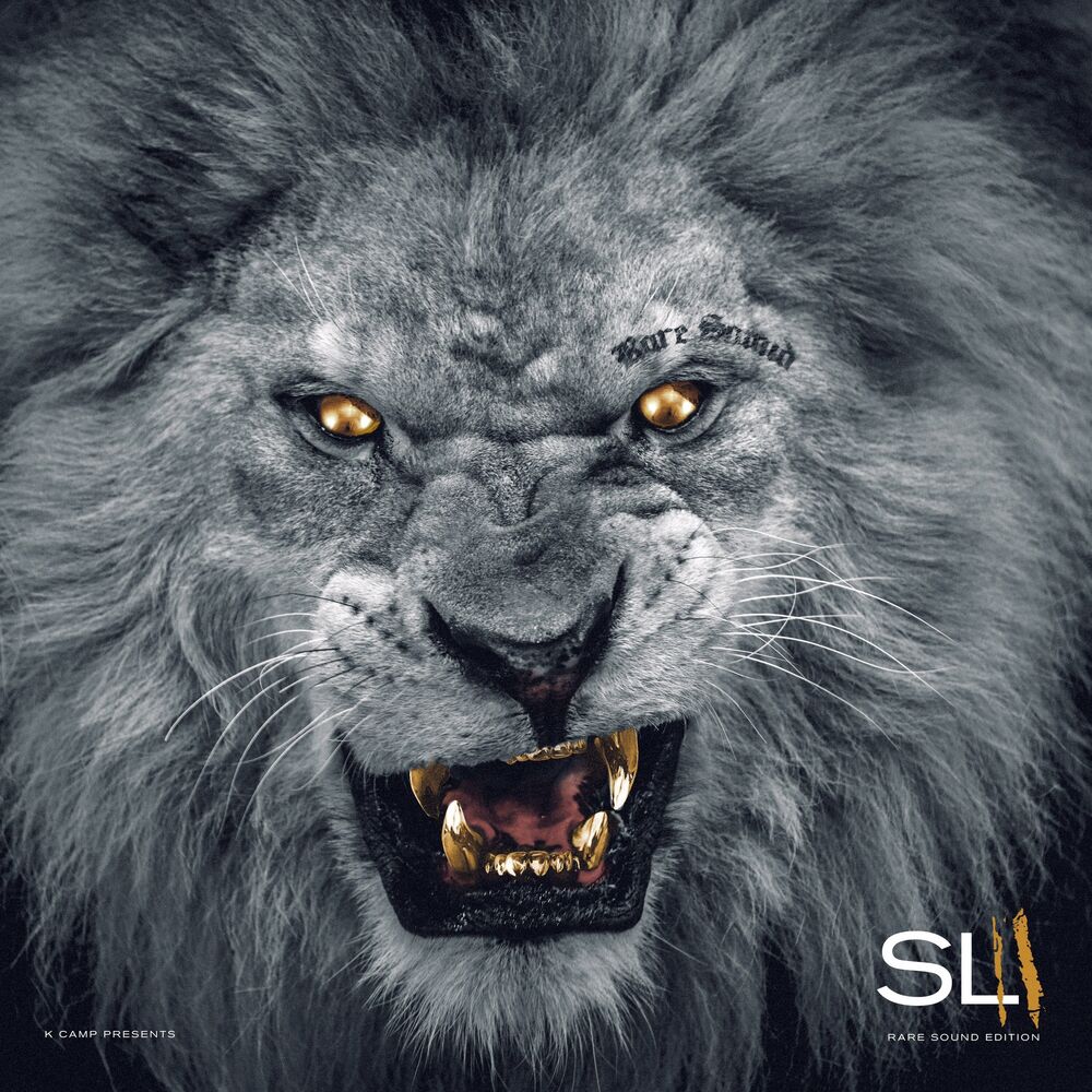 Picture of Slum Lords 2