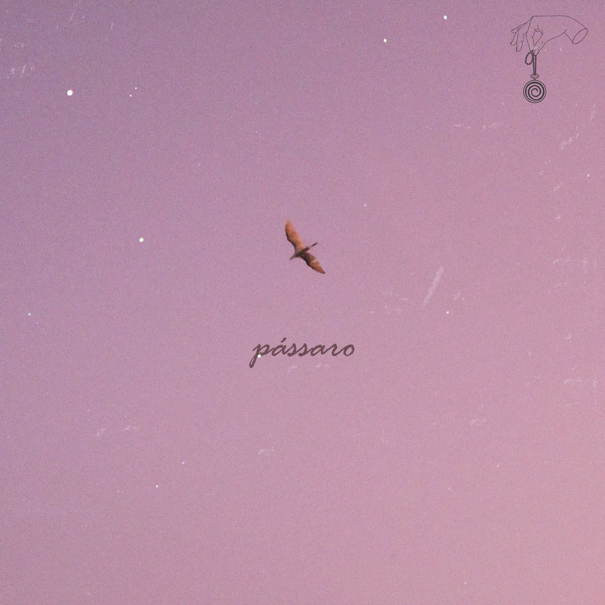 Album cover of pássaro