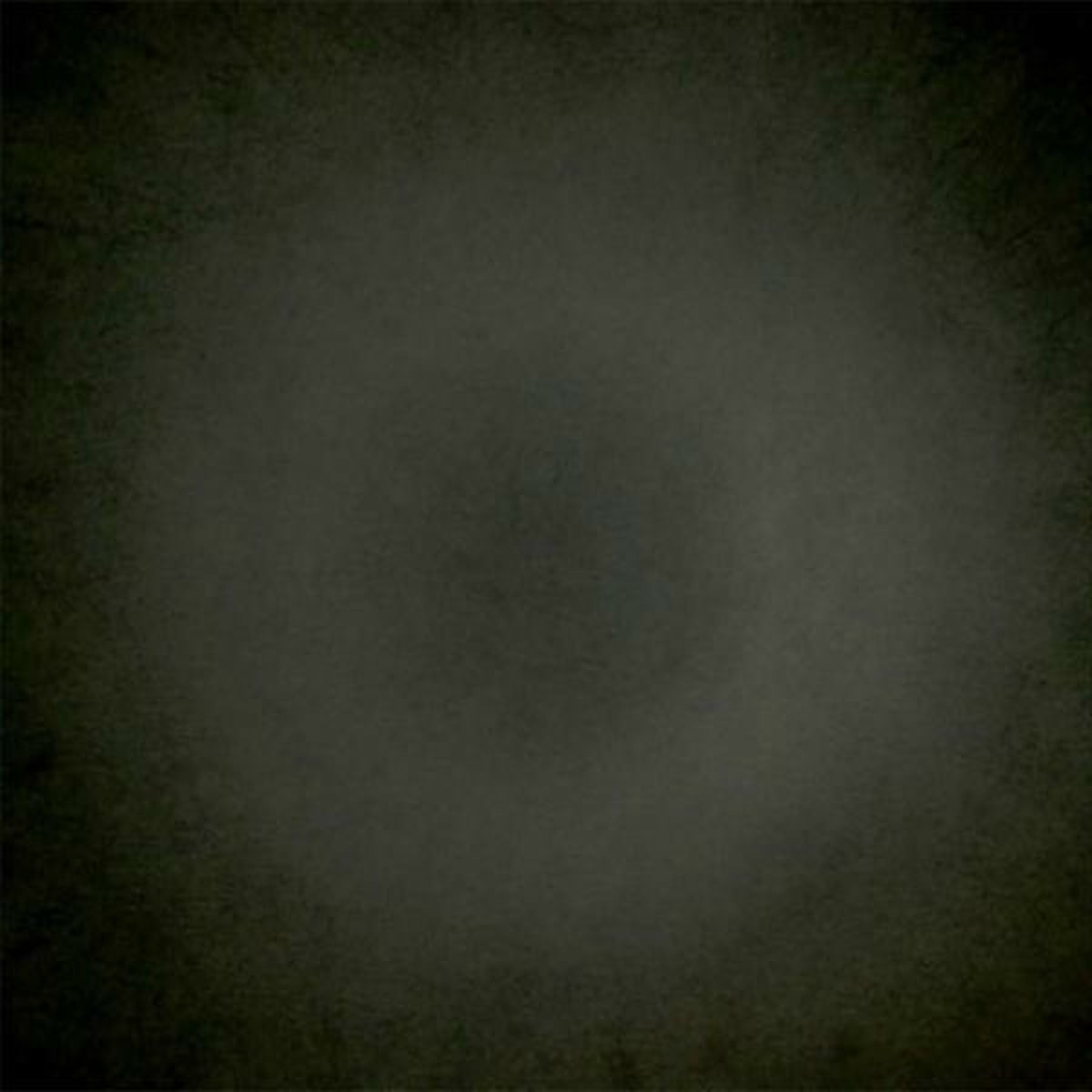 Album cover of Through The Annular