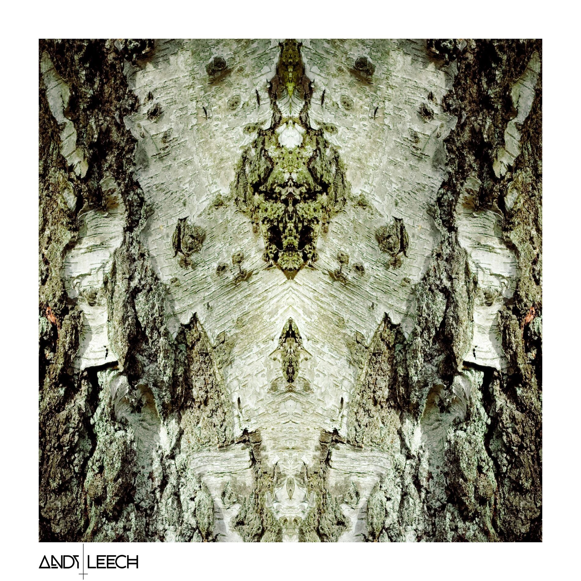 Album cover of Voice of the Forest