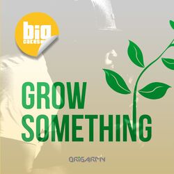 Cover of Grow Something