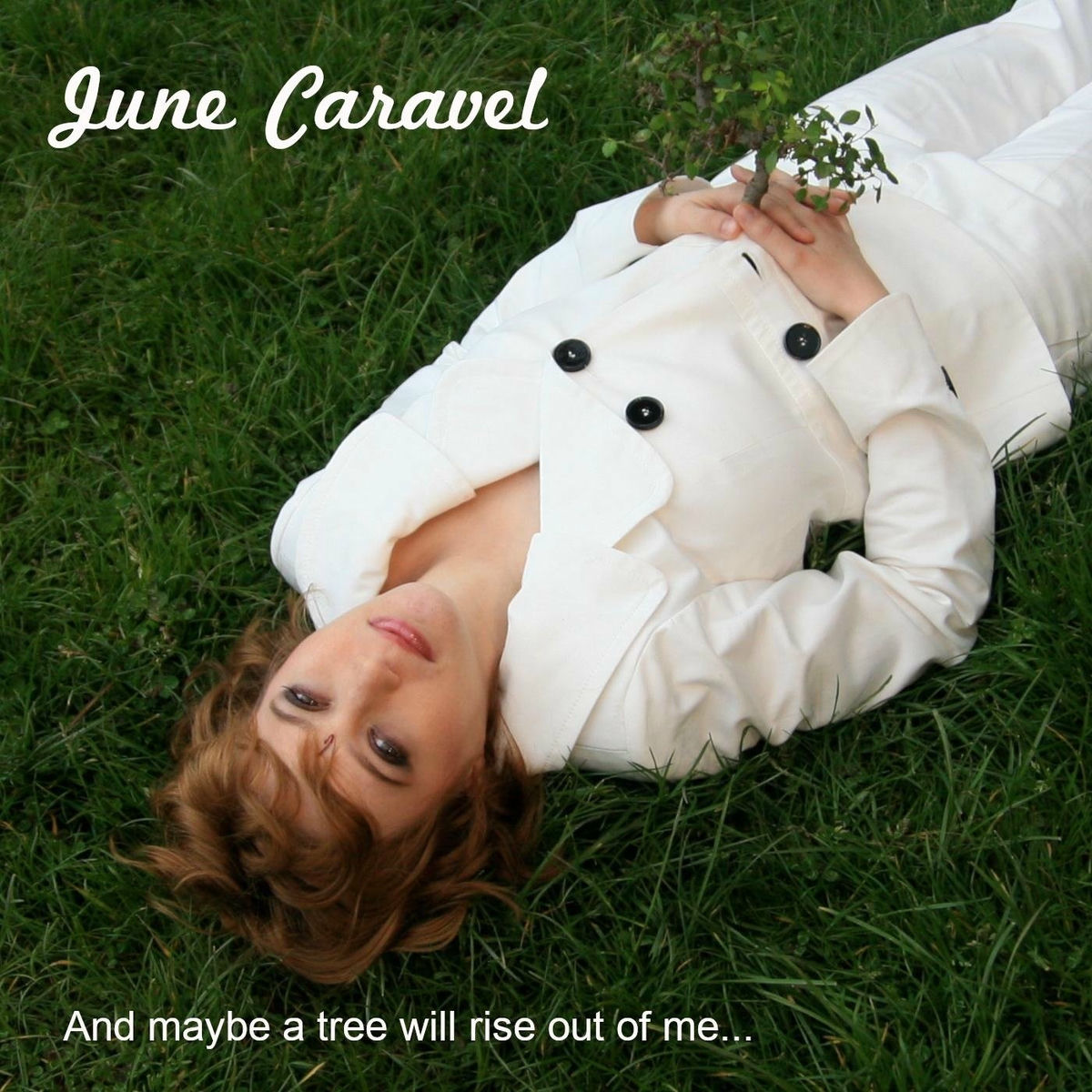 Album cover of And Maybe a Tree Will Rise out of Me