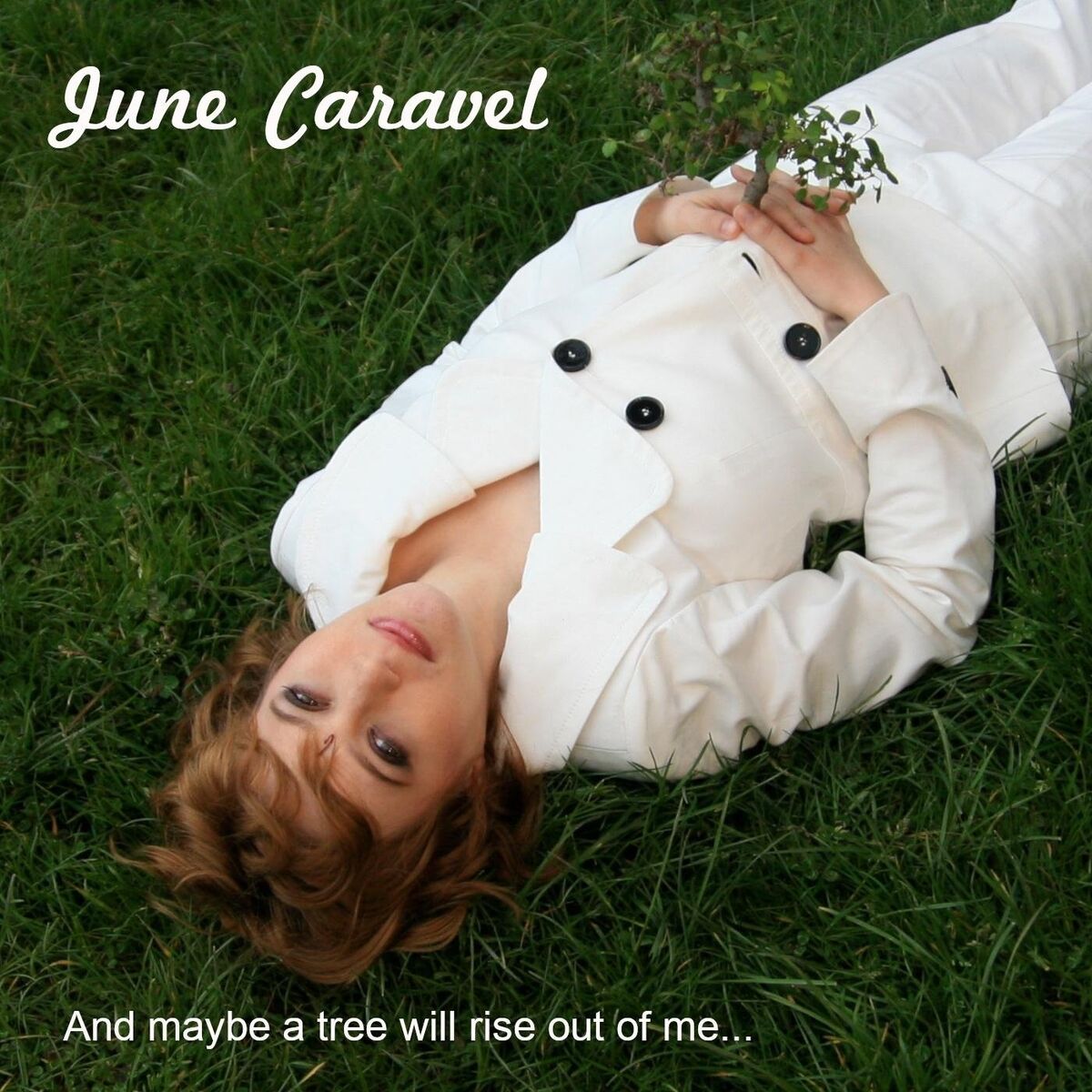 Album cover of And Maybe a Tree Will Rise out of Me...