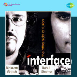 Cover of Interface The Other Side of Fusion