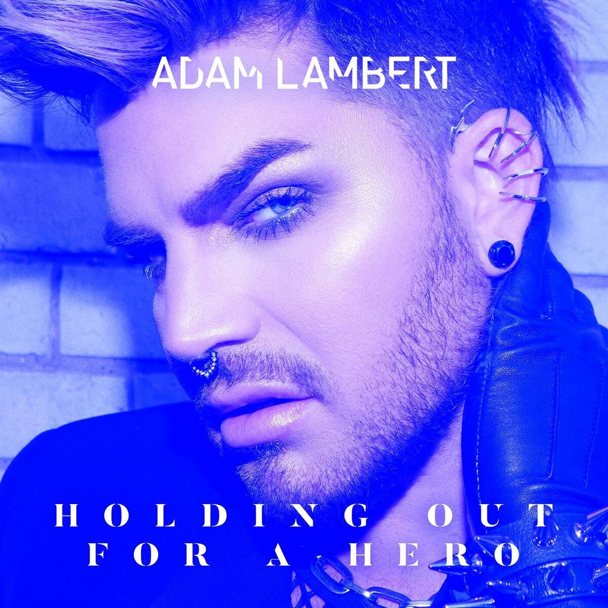 Album cover of Holding Out for a Hero