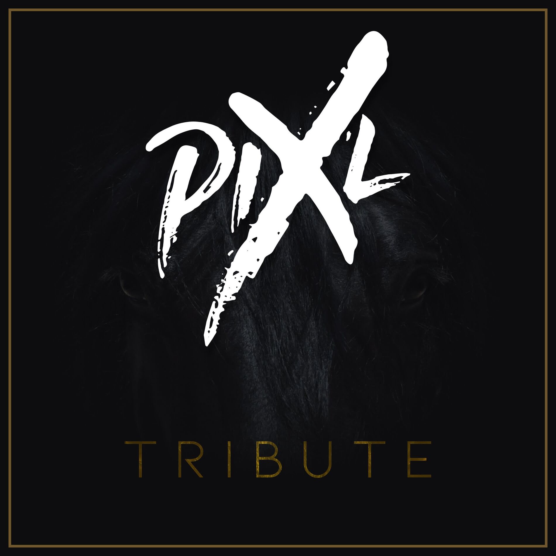 Album cover of Tribute