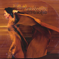Cover of The Silent Awakening
