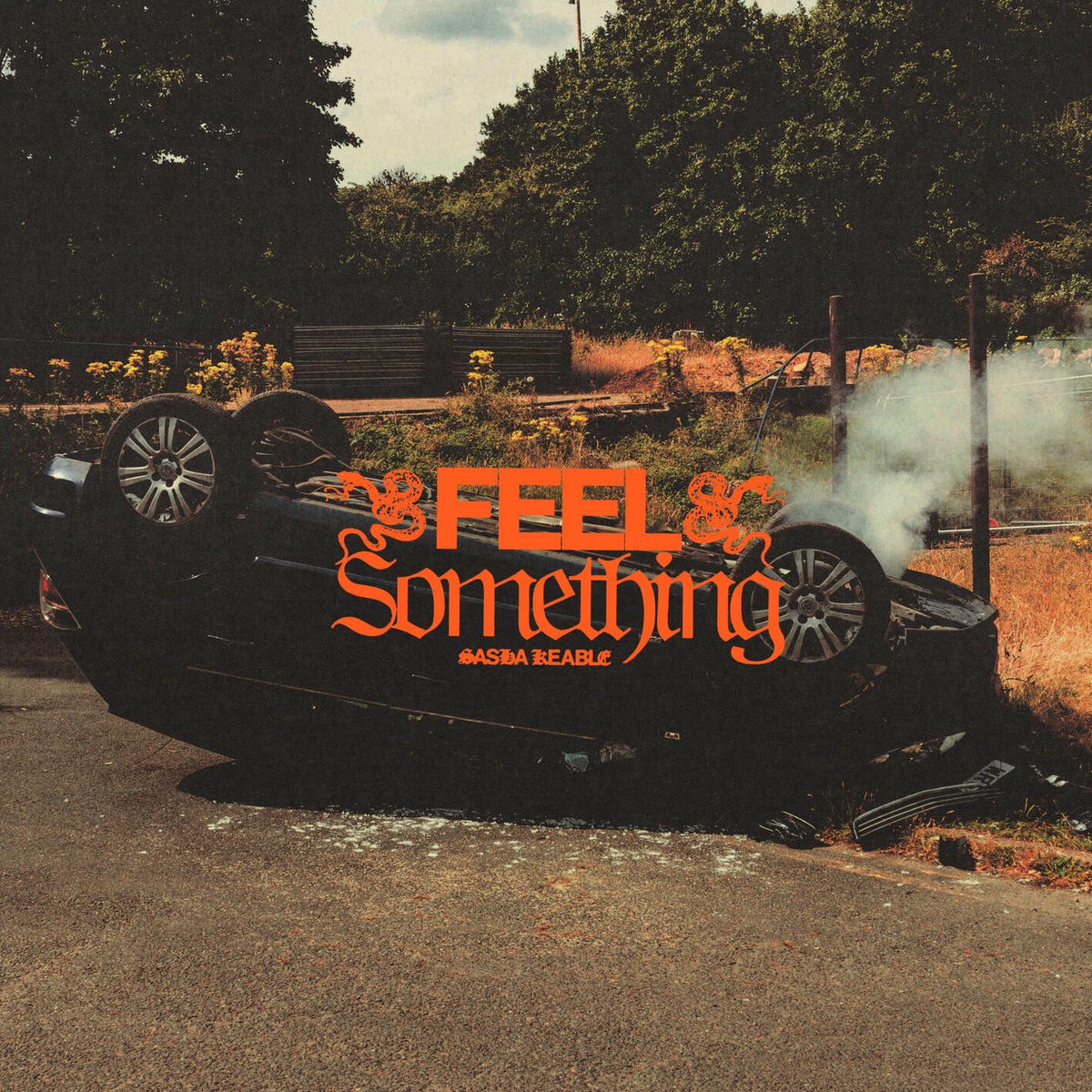 Album cover of FEEL SOMETHING