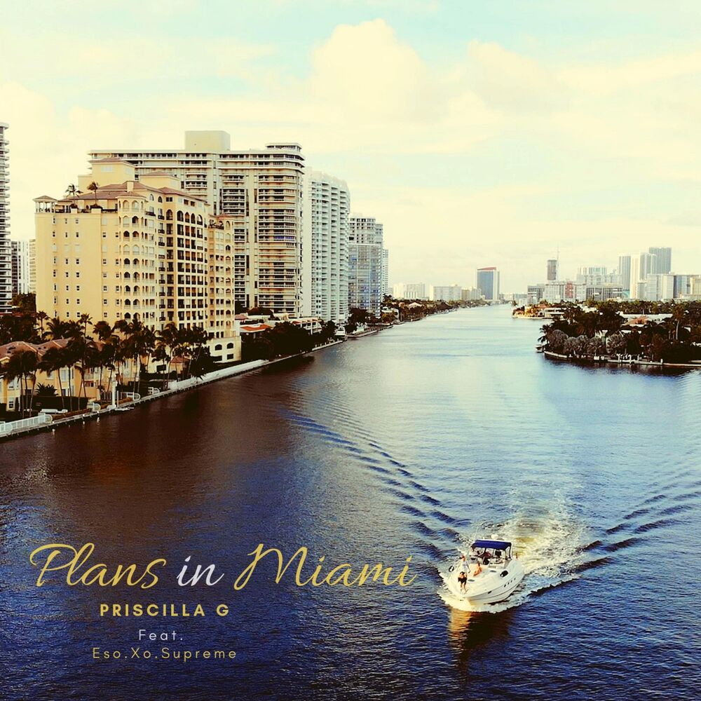 Picture of Plans in Miami (feat. Eso.Xo.Supreme)