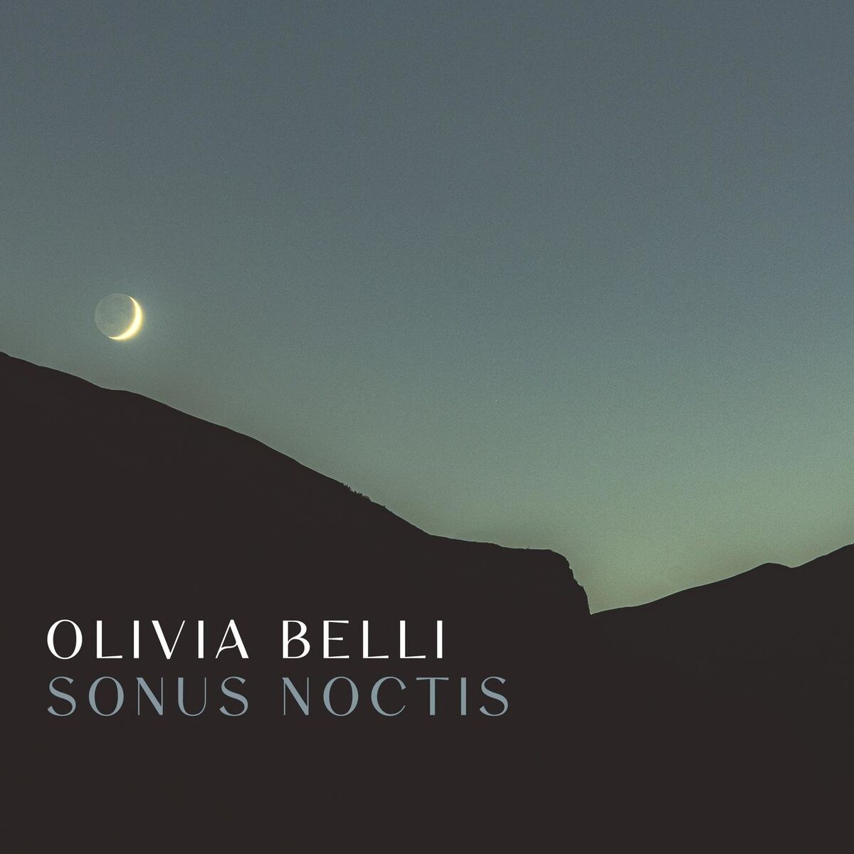 Album cover of Sonus Noctis