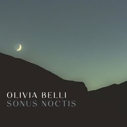 Cover of Sonus Noctis