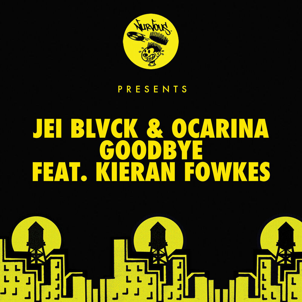 Picture of Goodbye (feat. Kieran Fowkes)