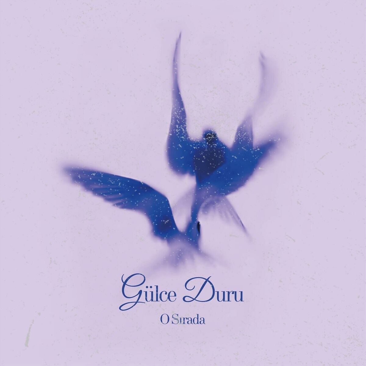 Album cover of O SIRADA