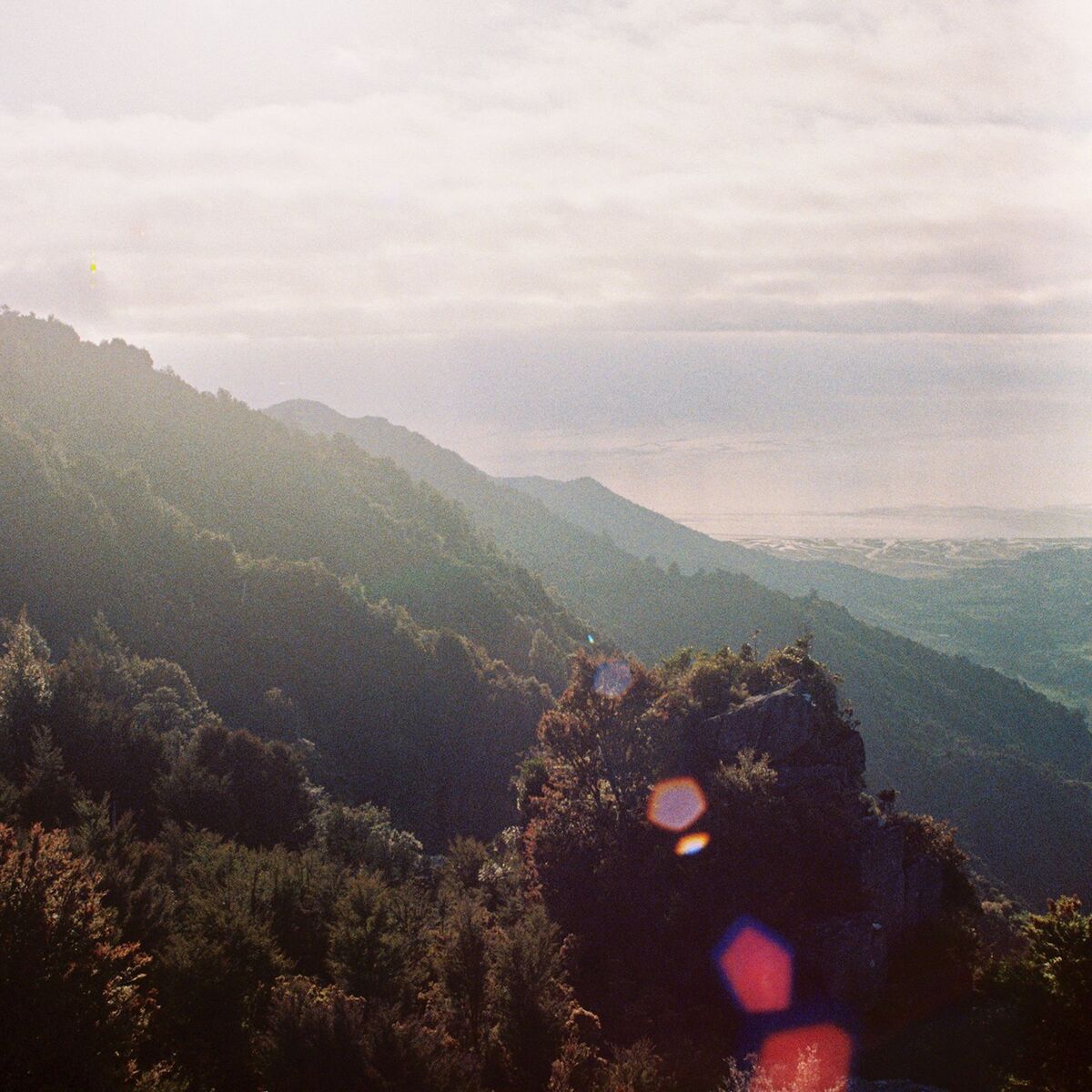 Album cover of Apeirogon