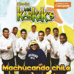 Cover of Machucando Chile