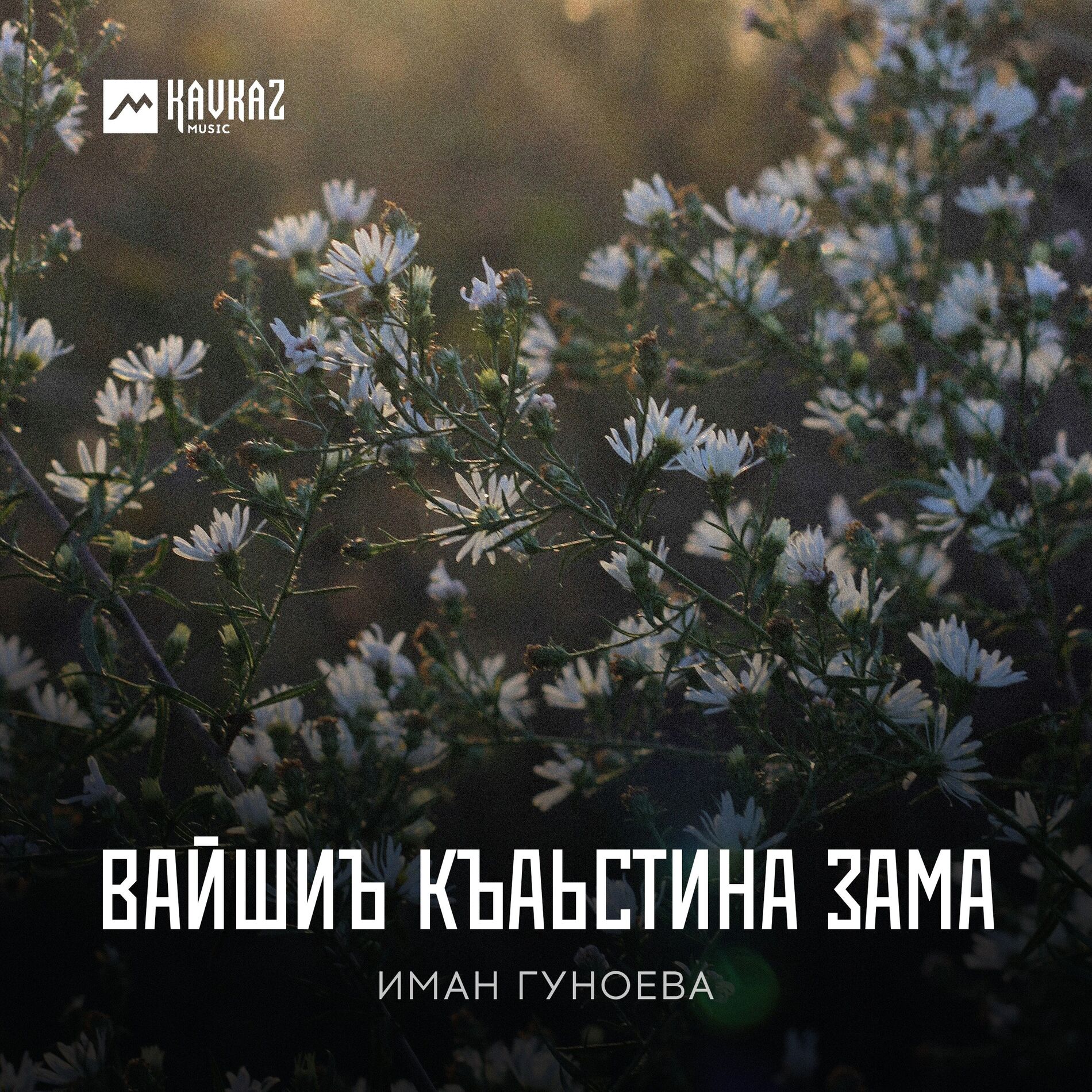 Album cover of Вайшиъ къаьстина зама