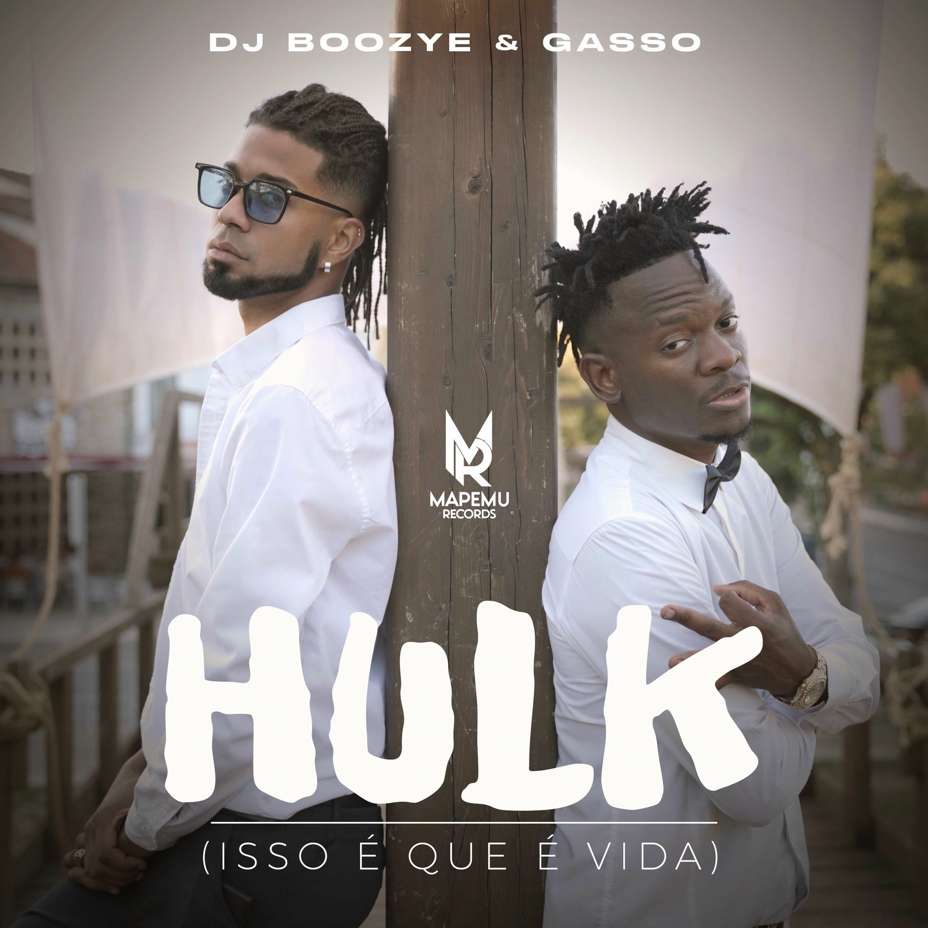 Album cover of Hulk (Isso É Que É Vida)