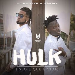 Hulk (Isso É Que É Vida)