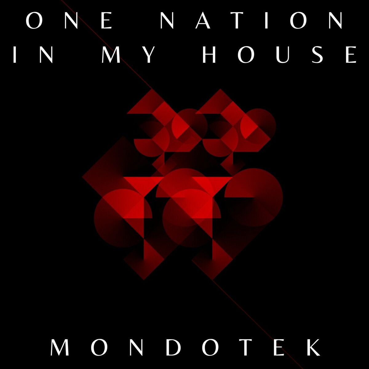 Album cover of One Nation In My House