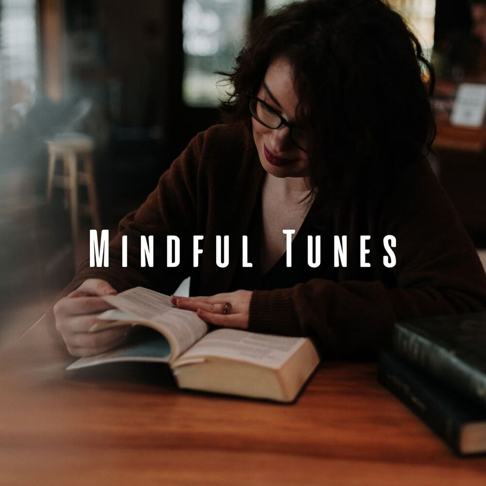 Picture of Mindful Tunes: Study Time with Meditative Piano Sounds