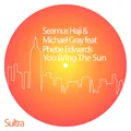 You Bring The Sun
