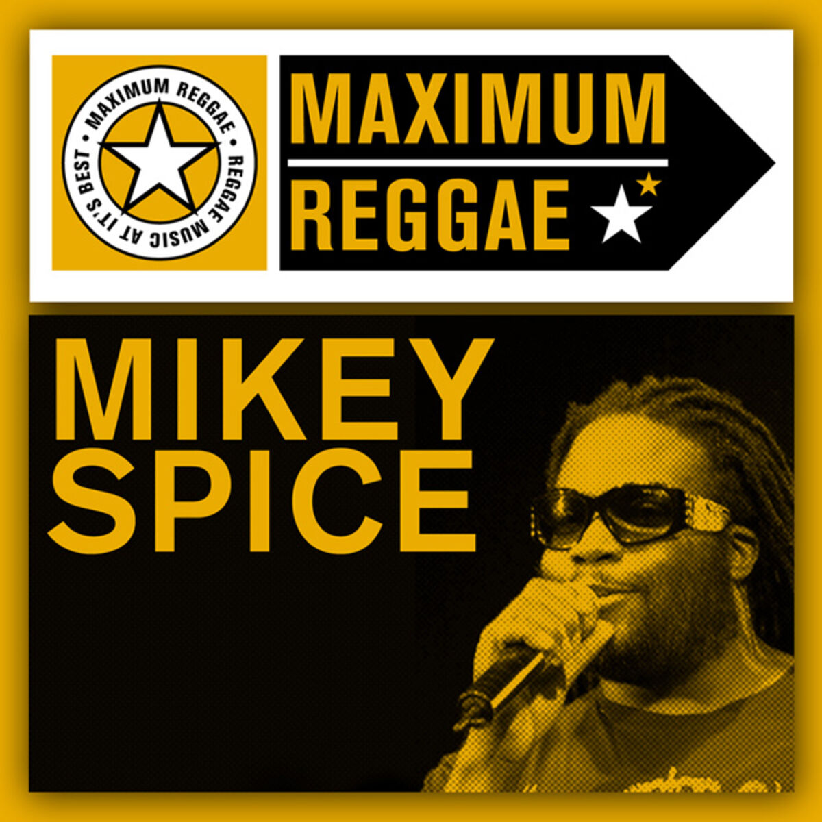 Album cover of Maximum Reggae