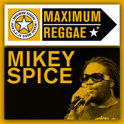 Cover of Maximum Reggae