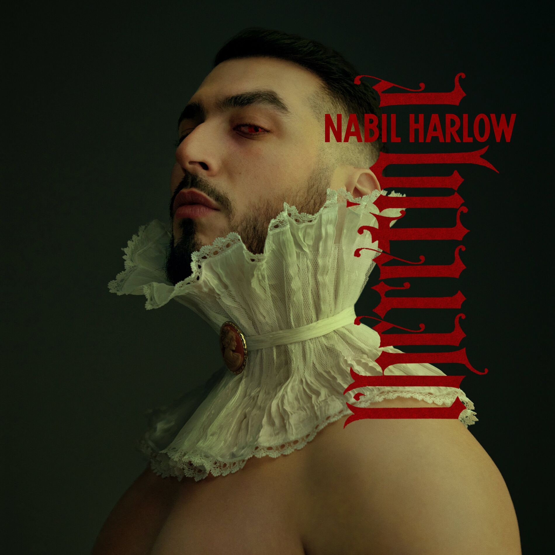 Album cover of Le garçon du quartier