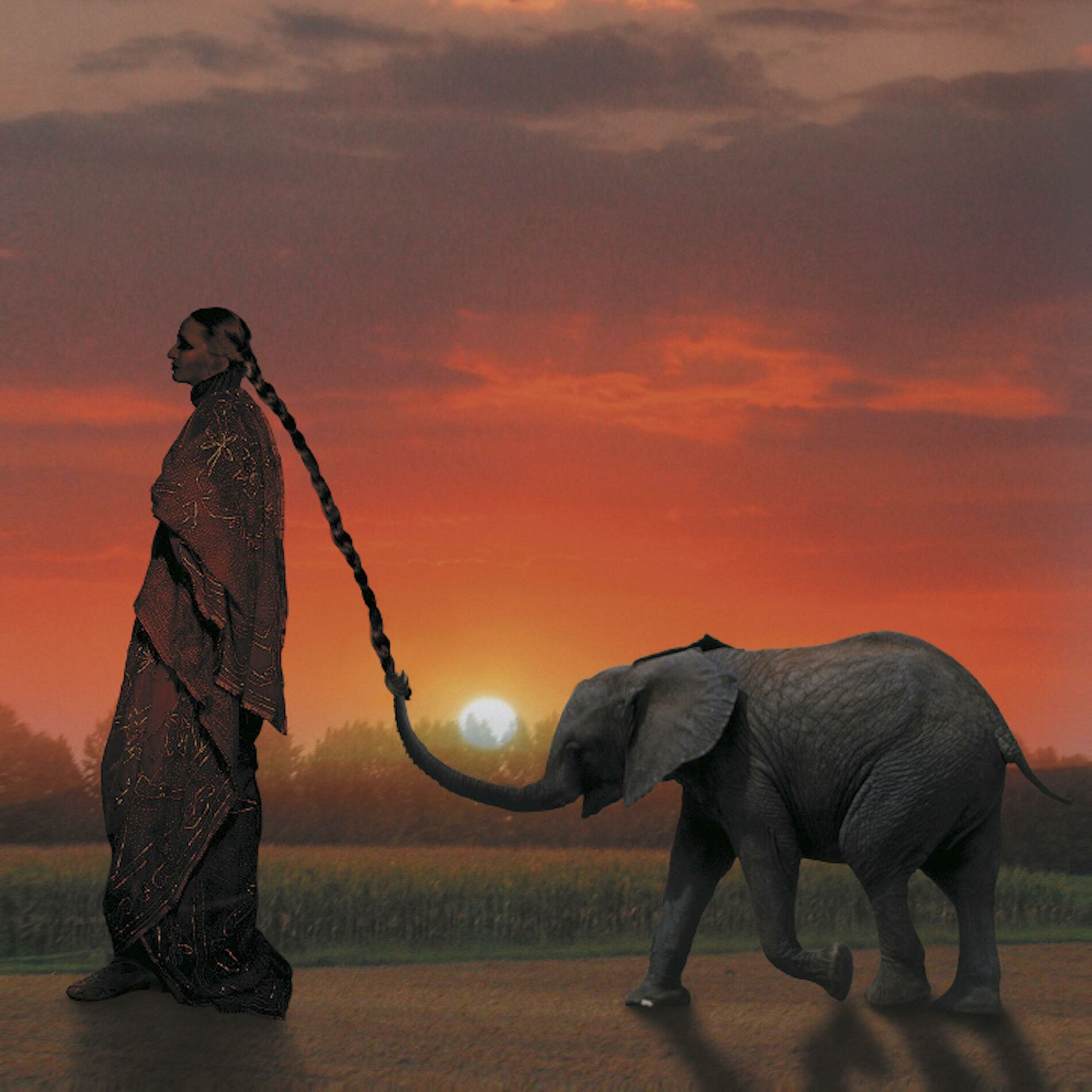 Album cover of Vai e vai e vai