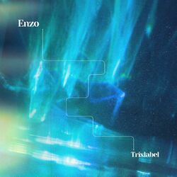 Cover of Enzo