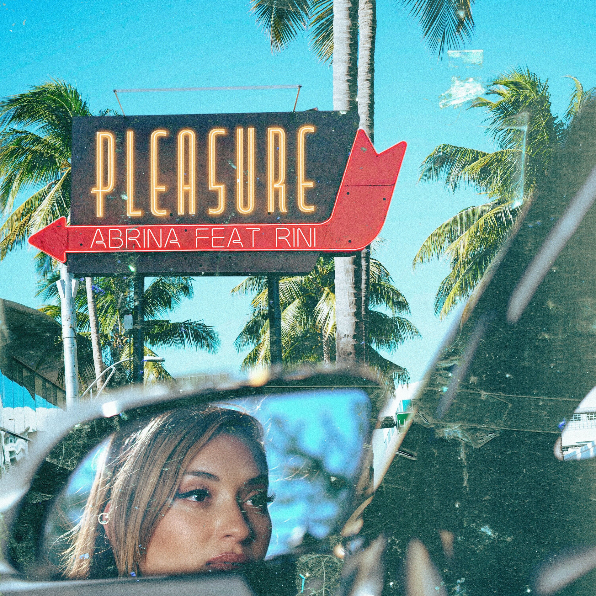 Album cover of Pleasure (feat. RINI)