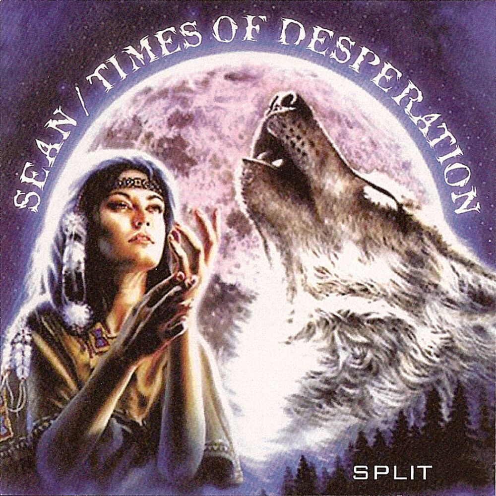 Picture of Sean and Times of Desperation Split Album