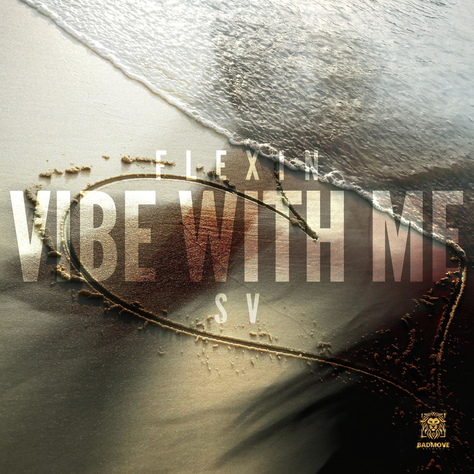 Album cover of Vibe With Me (feat. SV)