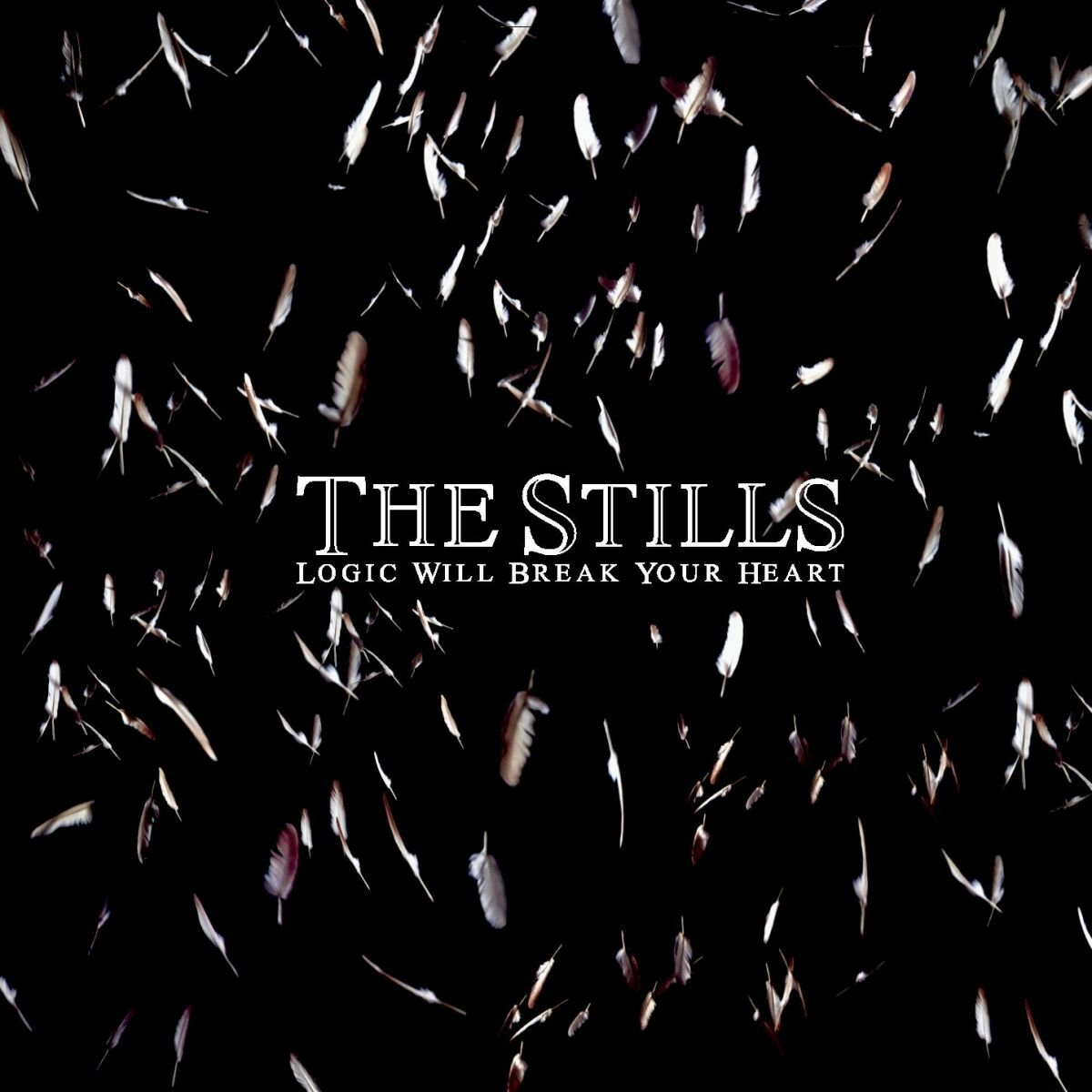 Album cover of Still in Love Song