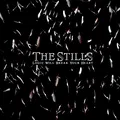 Still in Love Song