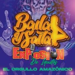 Cover of Baila y Salta