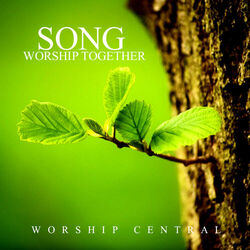 Cover of Song Worship Together