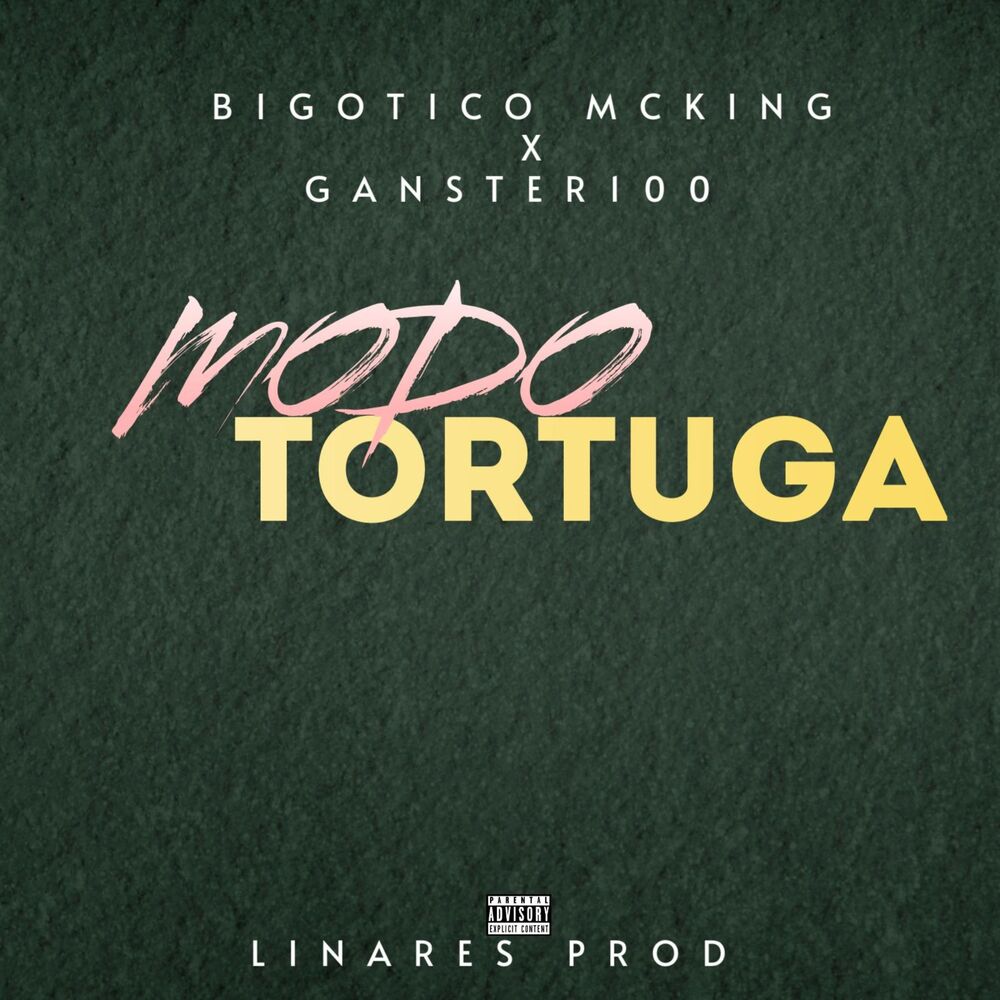 Picture of MODO TORTUGA