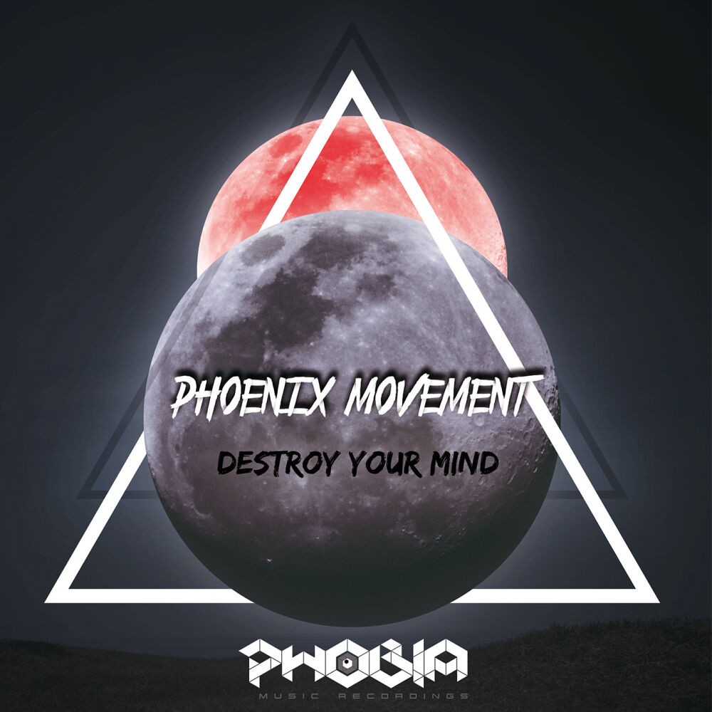 Picture of Destroy Your Mind
