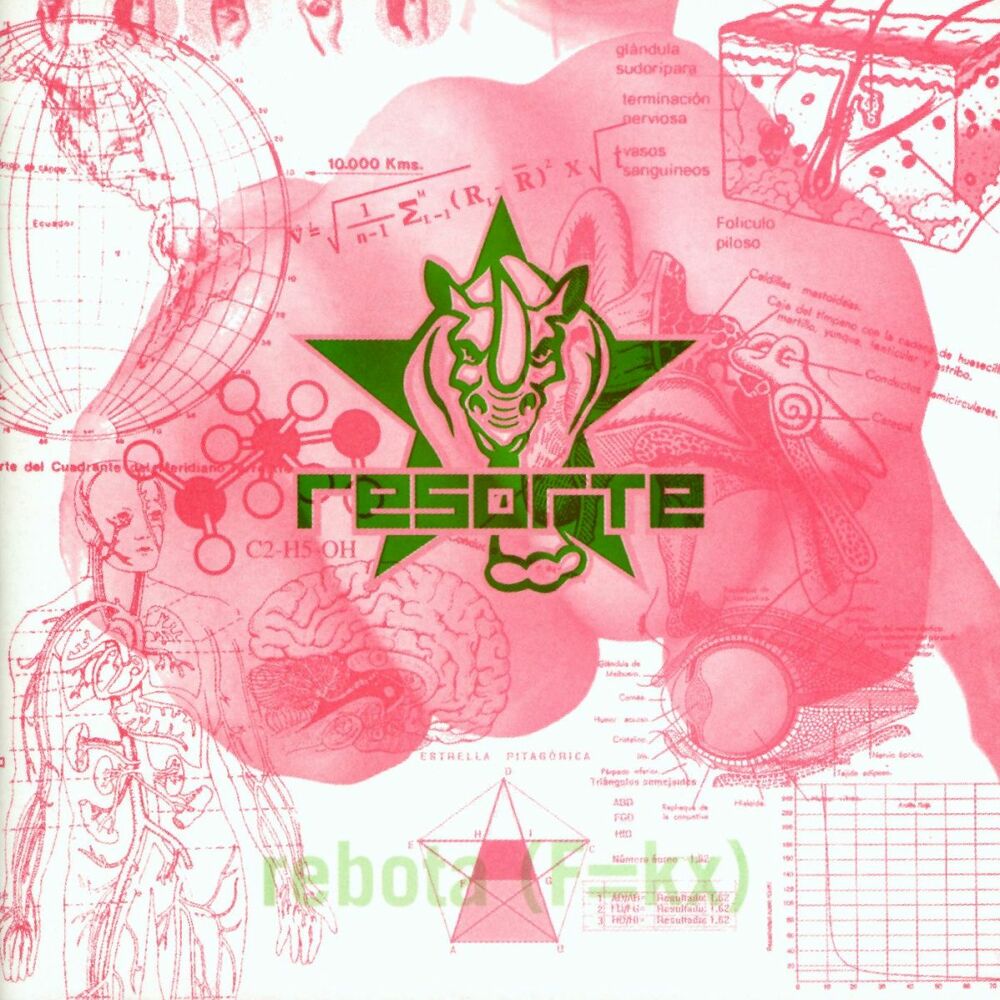 Picture of Rebota (F=KX)2