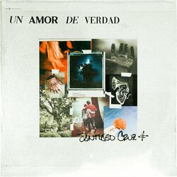 Cover of Un Amor De Verdad