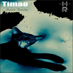 Cover of Raw Tools