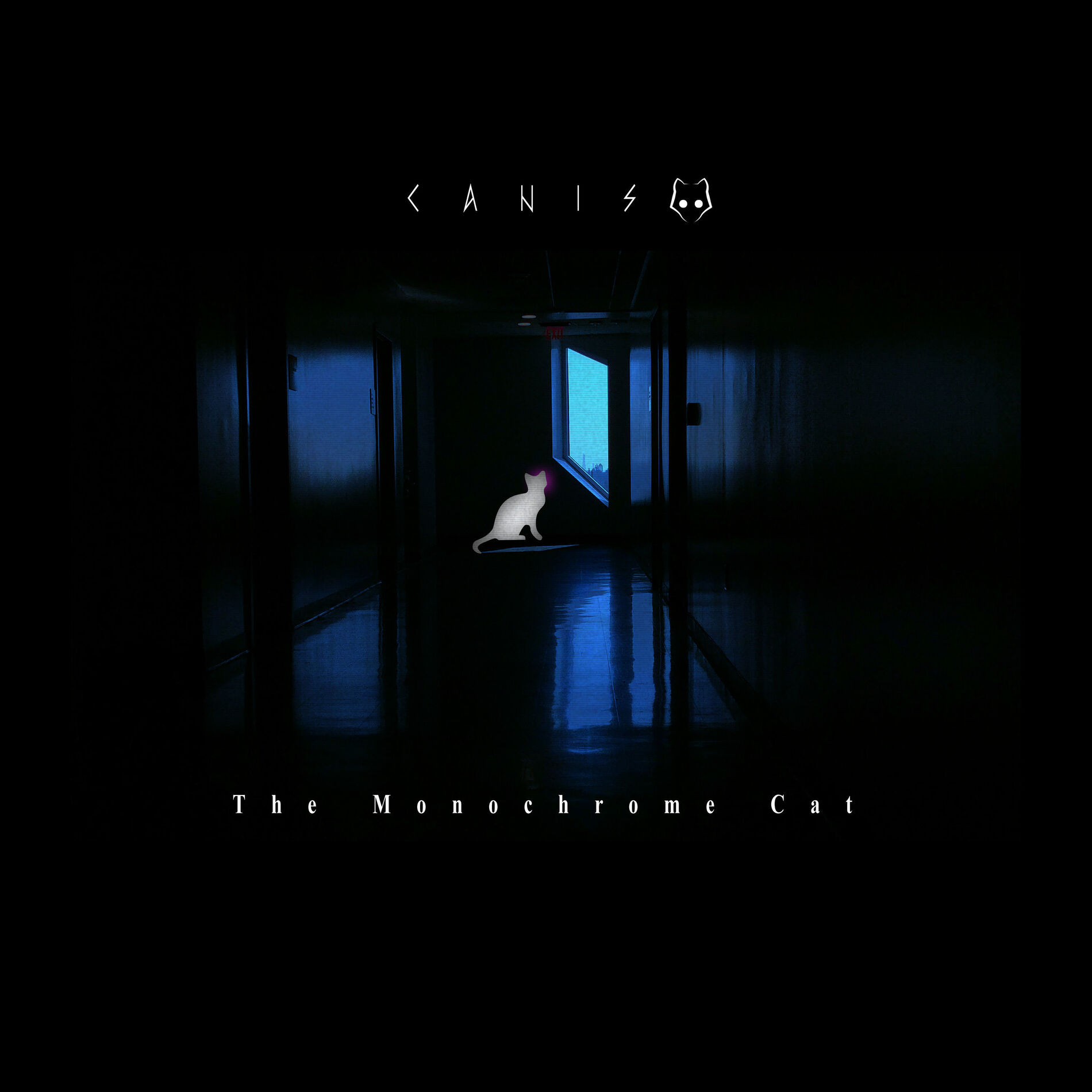 Album cover of The Monochrome Cat